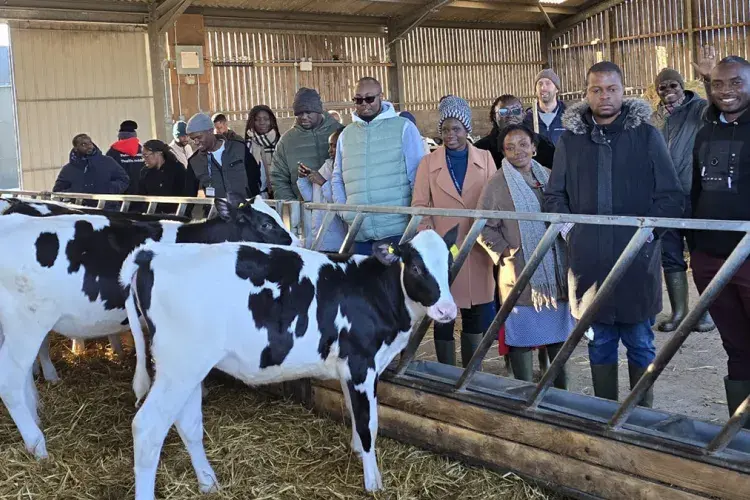 Group of people in a dairy farm