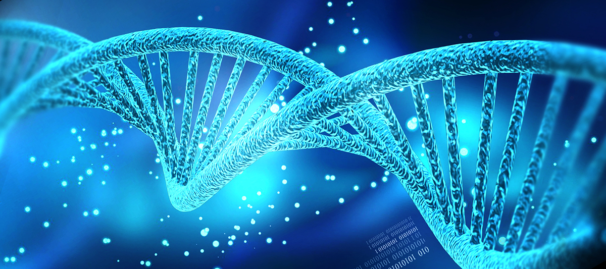 DNA helix